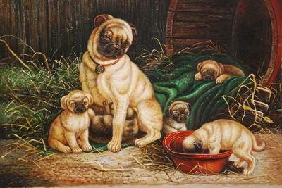 unknow artist Dogs 028 France oil painting art